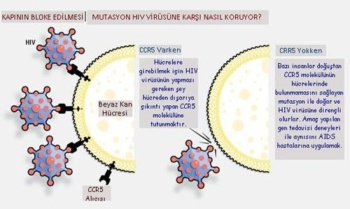 Haber | AIDS`te r aan tedavi